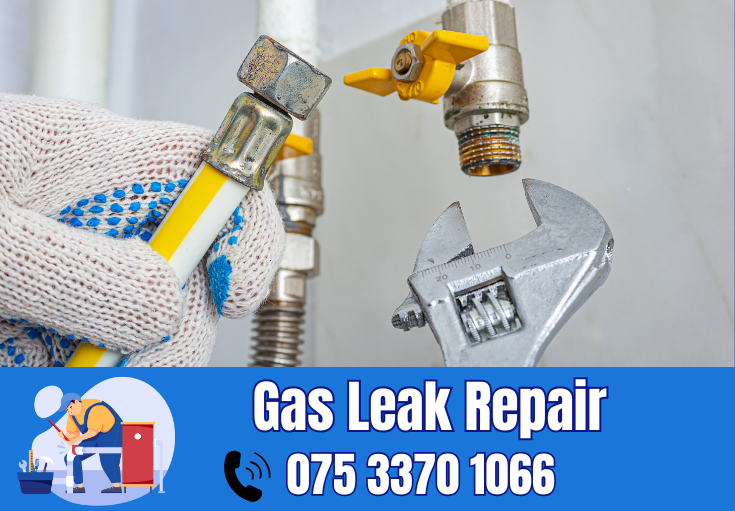 gas leak repair Swanley
