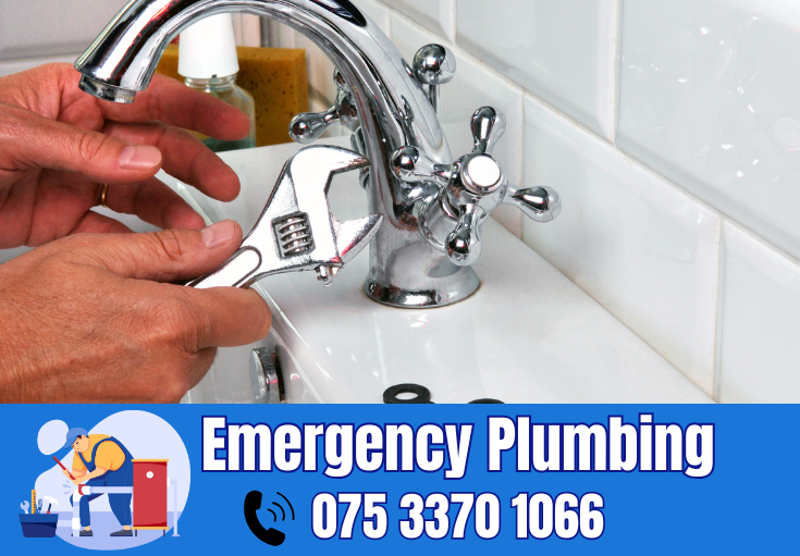  plumber Crockenhill